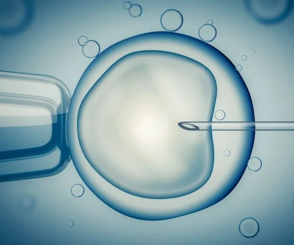 Consumíveis descartáveis para aplicações reprodutivas - Placas de cultura para fertilização in vitro